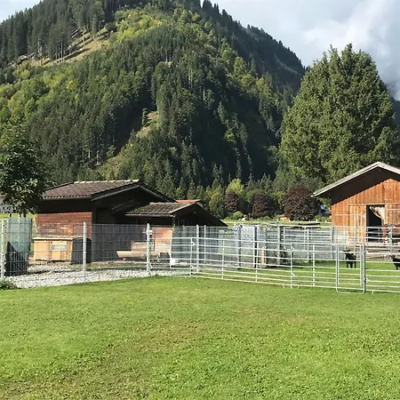 Pony-ziegen-hasen-ranch In By Interhome *