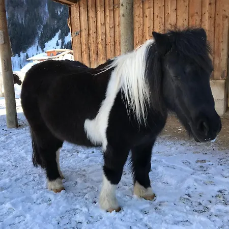 Apartmán Pony-ziegen-hasen-ranch In By Interhome